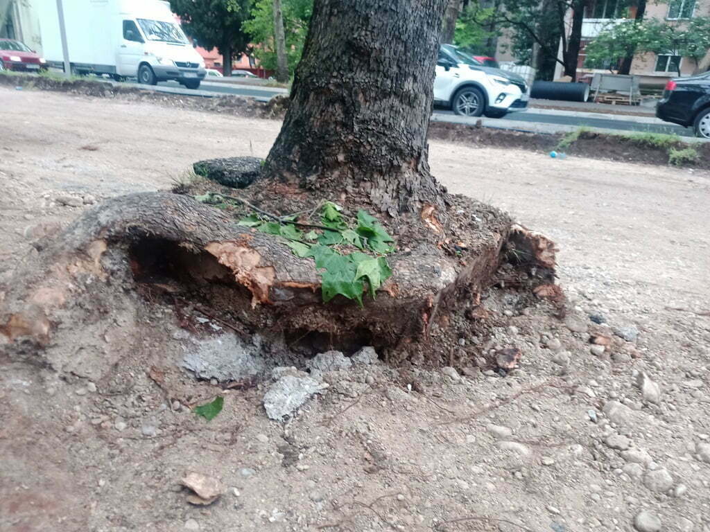 Radovi na rekonstrukciji pješačke zone u ulici Nadbiskupa Čule